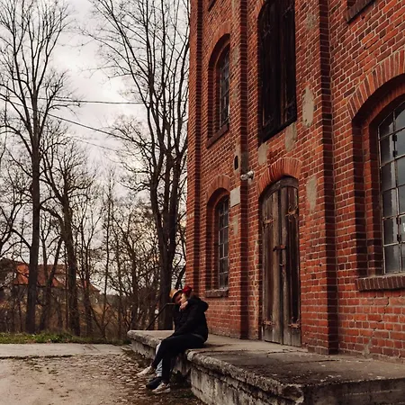 Wies Ma Wzgorzu